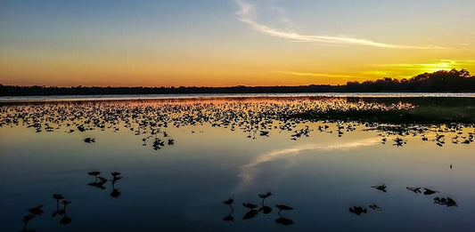 Lake Eaton Perfect Sunset