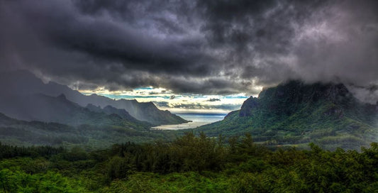 Marooned on an uninhabited island (episode 1)