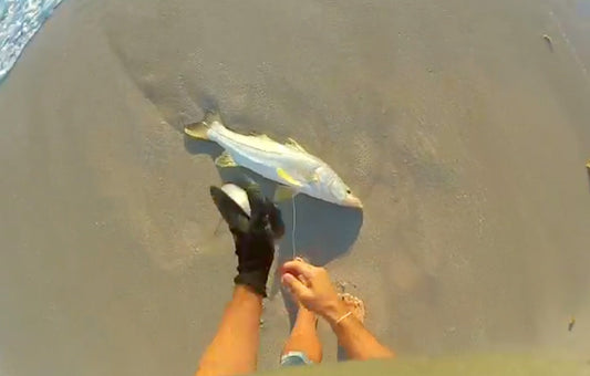 Surf fishing for snook