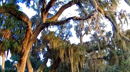 Survival Fishing Workshop