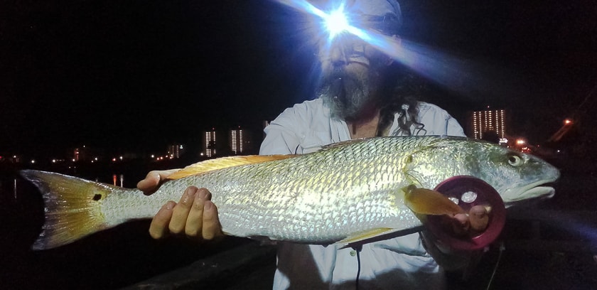 Redfish on a handline - Fishing Yoyito