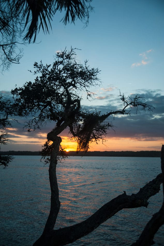 These tortured trees cling to live on the rocky edge of the park