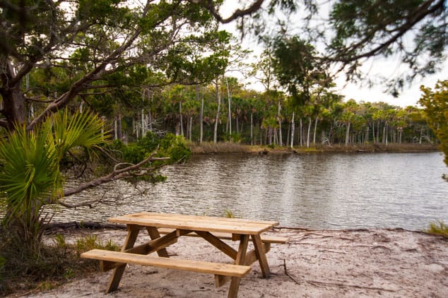 One of many hidden picnic tables throughout the park