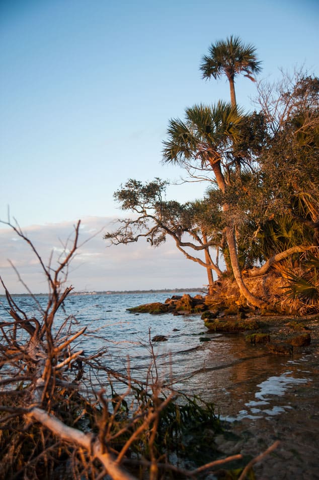 The very end of the park, here the Tomoka joins the Matanzas river and in turn into the Halifax