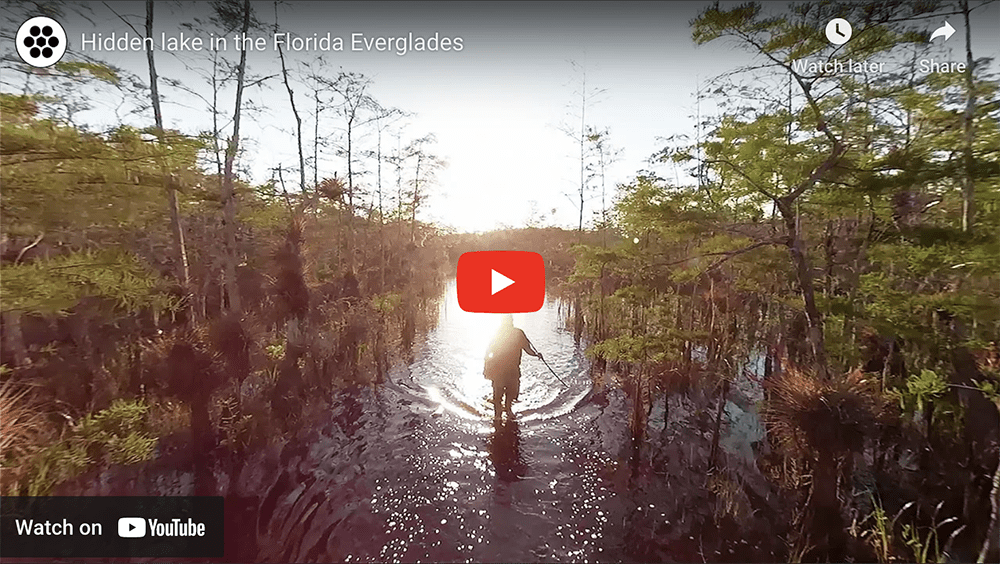 Hidden lake in the Florida Everglades